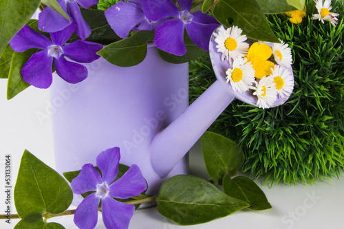 Photo: Gießkanne mit frischen Blumen Gießkanne mit frischen Blumen