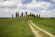 Foto: Val d'Orcia (Tuscany) Val d'Orcia (Tuscany)