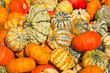 Colorful pumpkins
