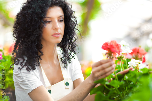 Photo: Female gardener in a greenhouse analyzing some flowers Female gardener in a greenhouse analyzing some flowers