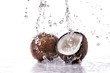 noce di cocco splash