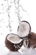 noce di cocco splash