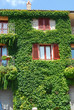 Photo: A house in the green A house in the green