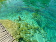 Eaux translucides ponton