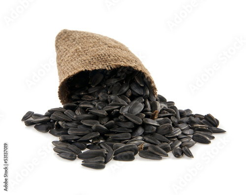 Photo: pips in a sack pips in a sack