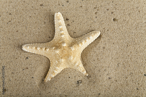 Photo: starfish on sand starfish on sand