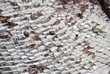 Salt winning near Cuzco, Peru