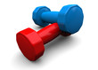 WEIGHTS - 3D