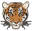 tiger illustration vector isolated on white background outline