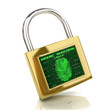 Biometric identification concept