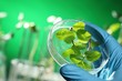 Scientist examining samples with plants