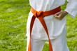 Tae Kwon Do