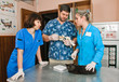 veterinarians