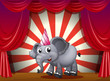 An elephant wearing a party hat at the stage