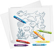 A paper with a drawing of the different sea creatures