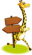Vector: A giraffe running at the back of a wooden arrow board A giraffe running at the back of a wooden arrow board