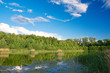 View Polish lake on a sunny day and the Swan