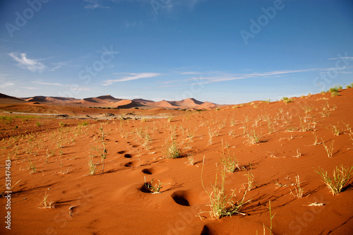 Photo: Sossusvlei dunes Sossusvlei dunes
