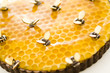 Honey tart