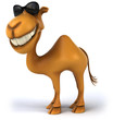 Fun camel