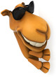 Fun camel