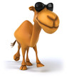Fun camel