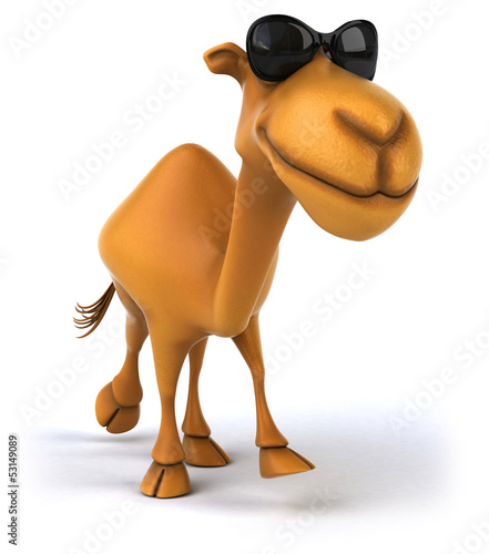 Illustration: Fun camel Fun camel