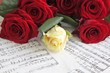 red and white roses