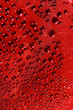 Photo: Drops of water on glass Drops of water on glass