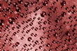 Photo: Drops of water on glass Drops of water on glass