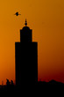 A stork silhouette on Marrakech Mosque sunset view