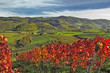 Oberkircher Herbst
