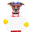 Photo: housewife dog housewife dog