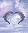 Illustration: Dolphins Kisses Dolphins Kisses
