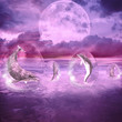Illustration: Dream Of Dolphins Dream Of Dolphins