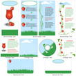 strawberry template design