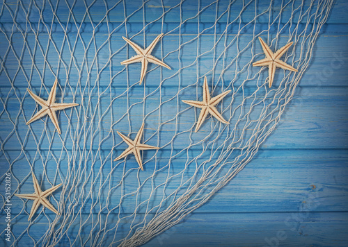 Photo: Seastars on the fishing net Seastars on the fishing net