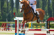 Foto: equestrian show jumping equestrian show jumping