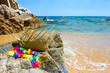 Photo: Tropical beach Tropical beach