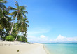 Palm trees on tropical beach
