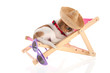 Foto: Beach puppy Beach puppy