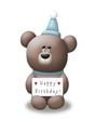 Birthday Party Bear