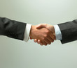 handshake isolated on white background