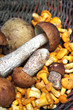 Wild mushrooms