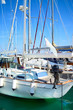 Yachts in harbour
