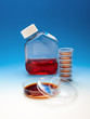 Bacterial cultures