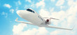 Airplane in the sky