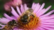 Bee on the flower.
