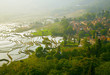Photo: Rice terraces Rice terraces