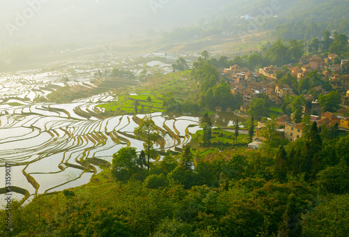 Photo: Rice terraces Rice terraces